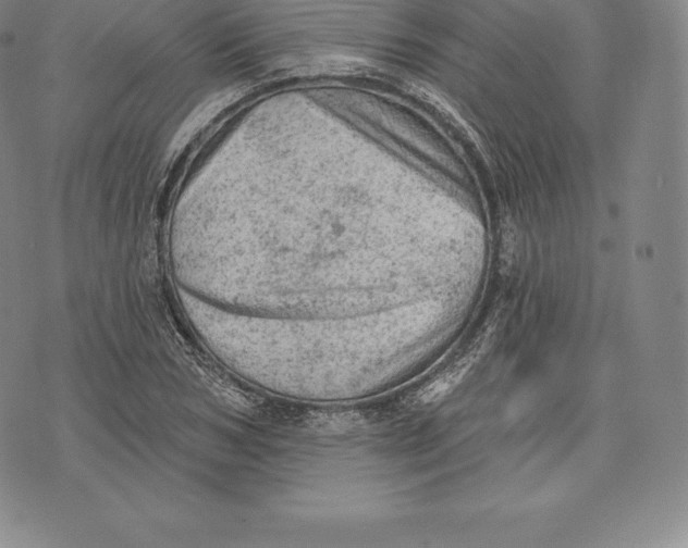 X0000076300978200610161549