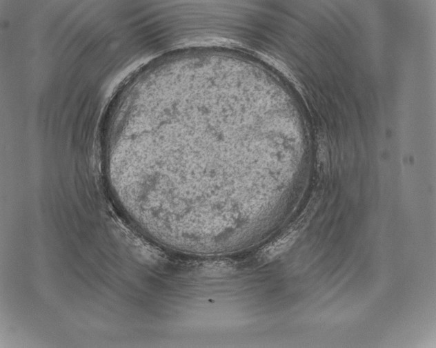 X0000076300979200610161549