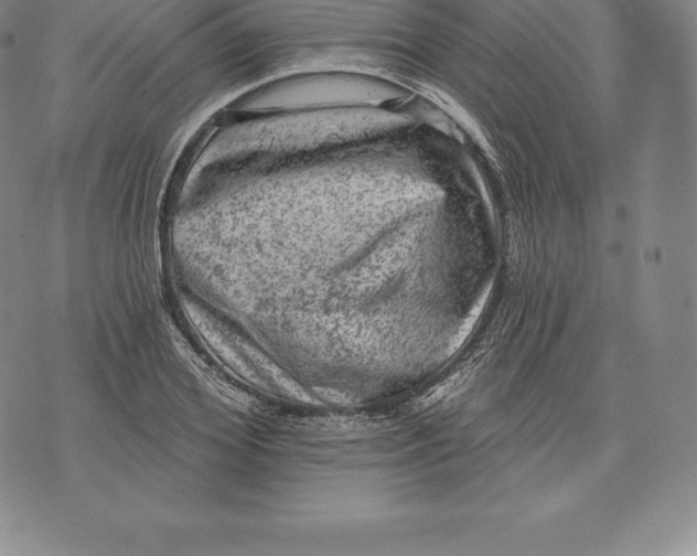 X0000076300980200610161549