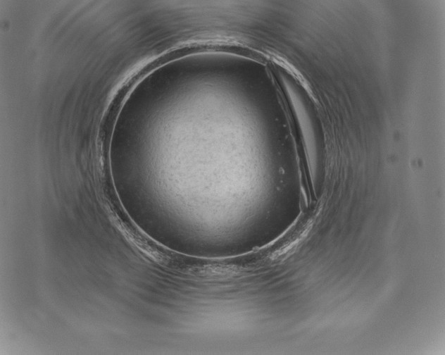 X0000076300981200610161549