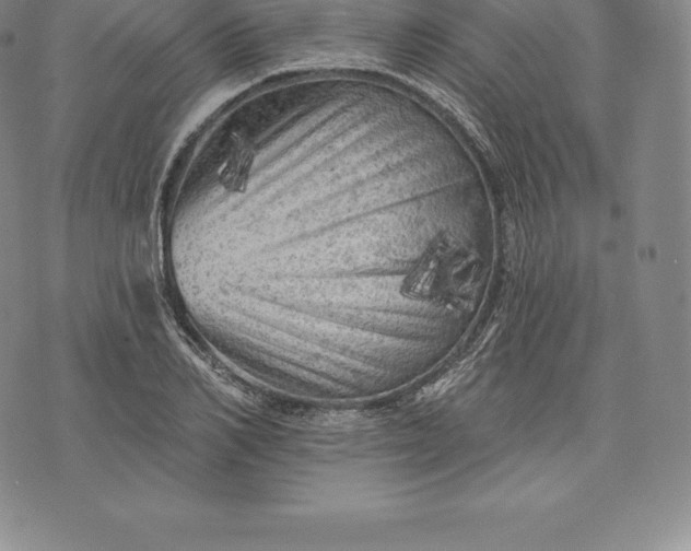 X0000076300982200610161549