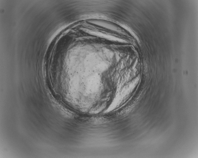 X0000076300983200610161549