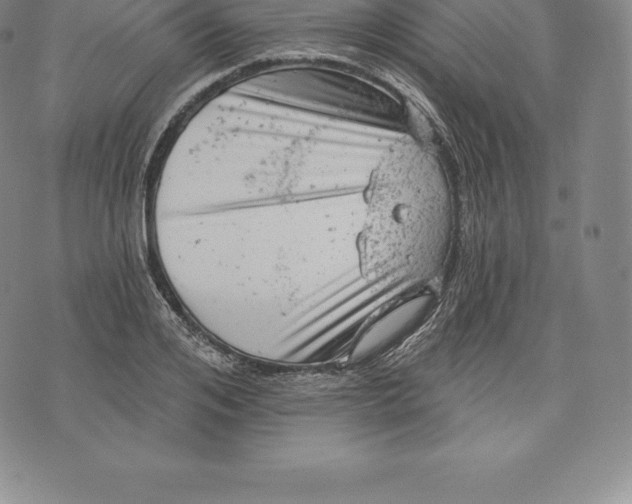 X0000076300984200610161549