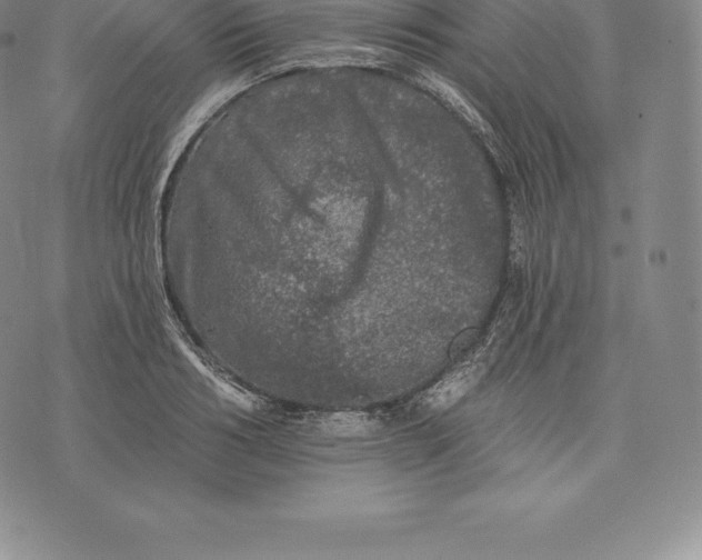 X0000076300986200610161549