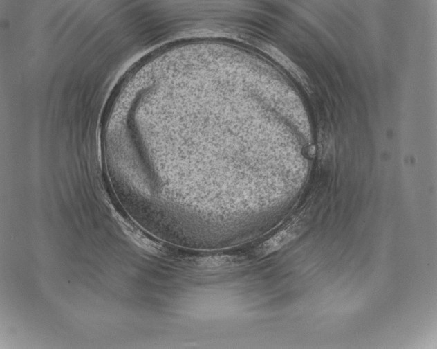 X0000076300988200610161549