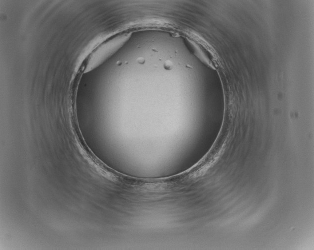 X0000076300989200610161549