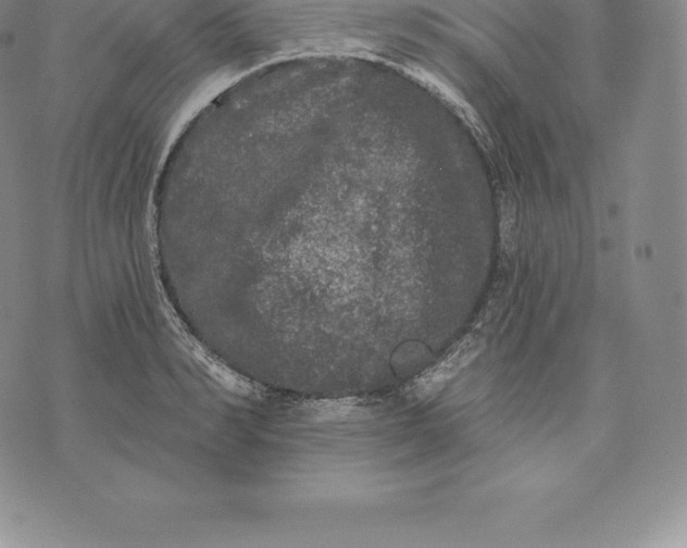 X0000076300990200610161549