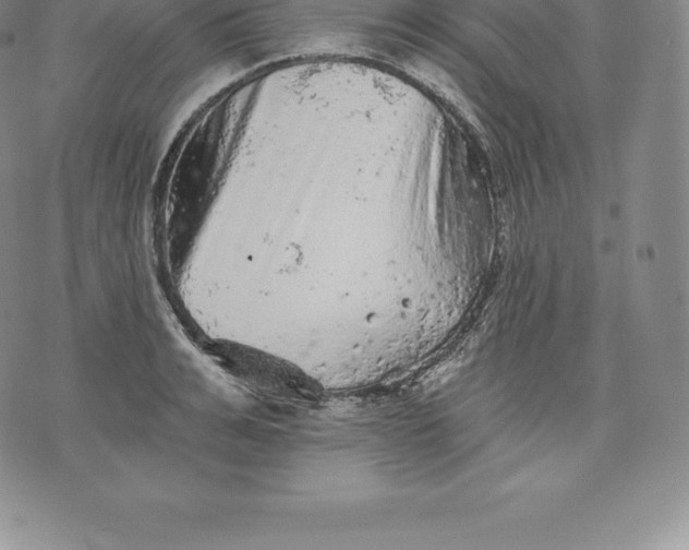 X0000076300991200610161549