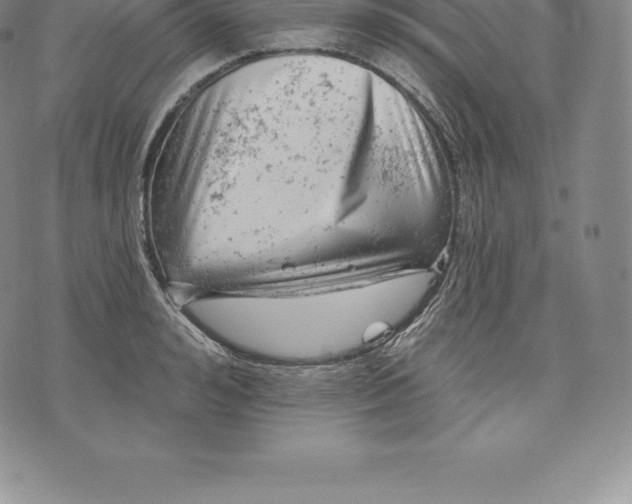 X0000076300992200610161549