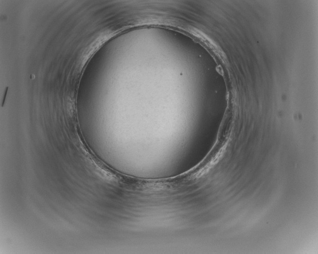 X0000076300993200610161549