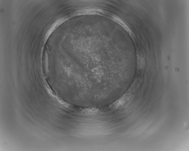 X0000076300994200610161549