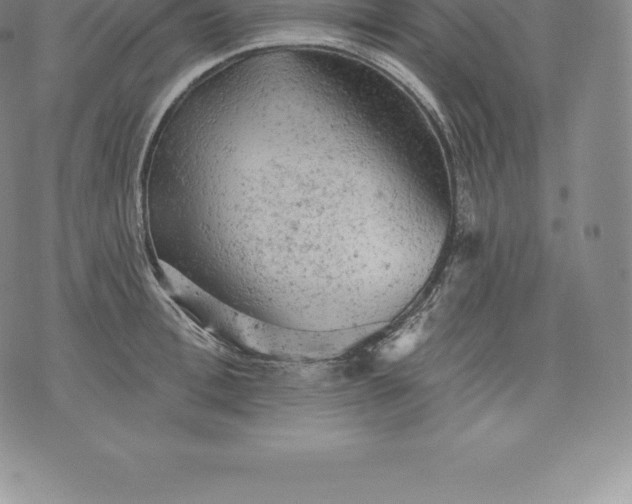 X0000076300996200610161549