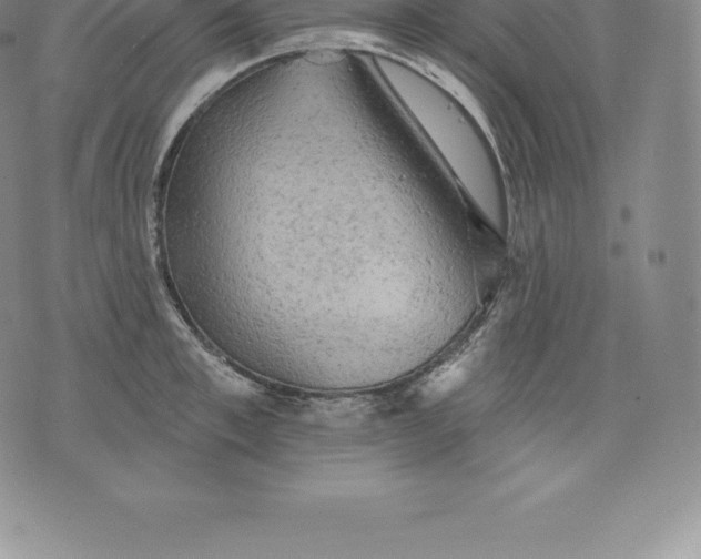 X0000076300997200610161549