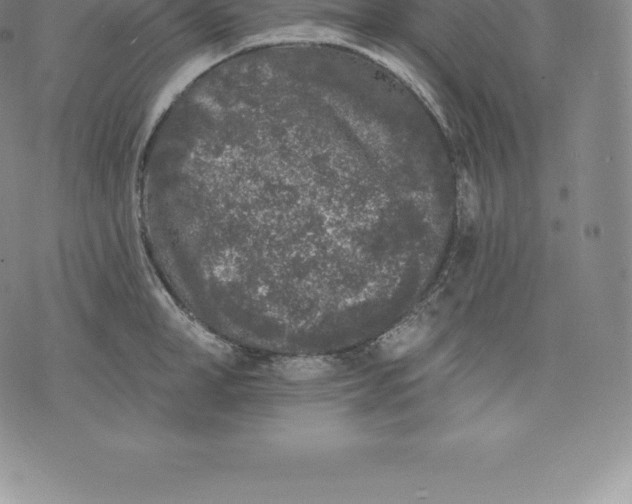 X0000076300998200610161549