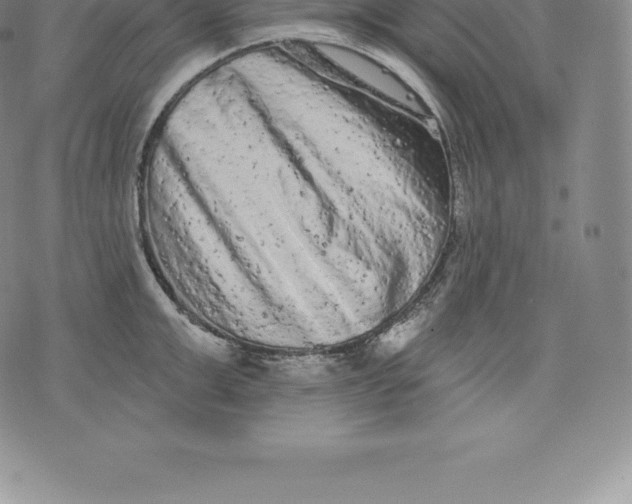 X0000076300999200610161549