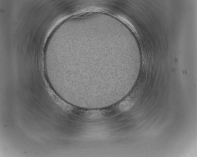 X0000076301000200610161549