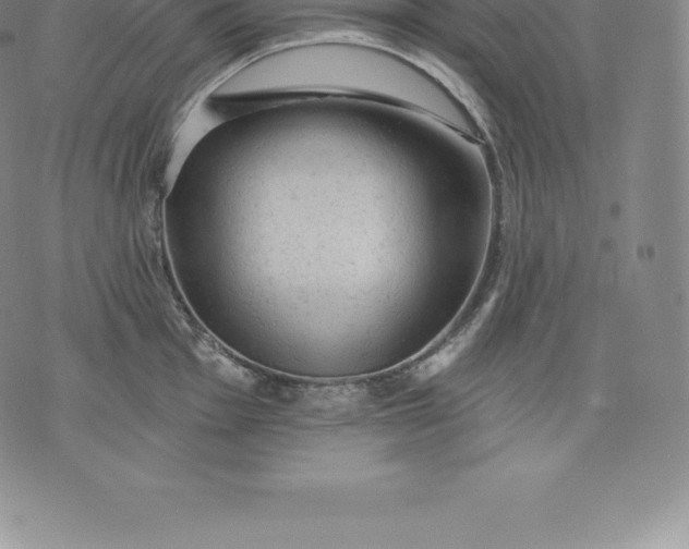 X0000076301001200610161549