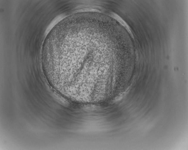 X0000076301002200610161549