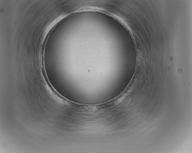 X0000076301003200610161549