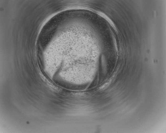 X0000076301004200610161549