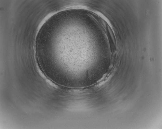 X0000076301005200610161549