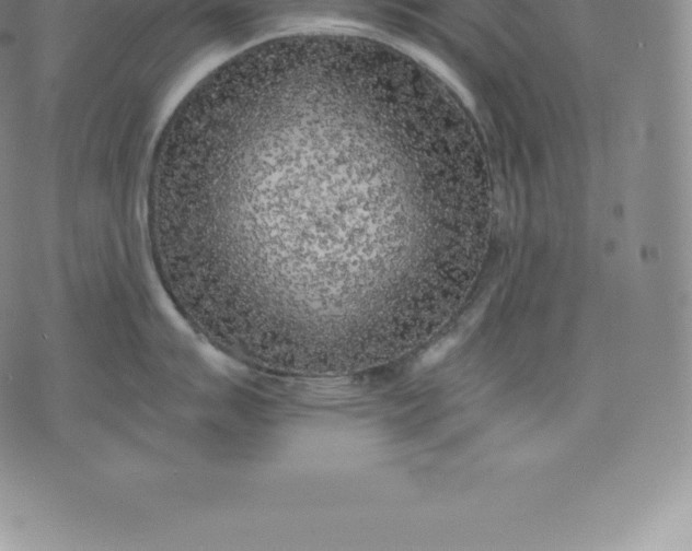 X0000076301007200610161549