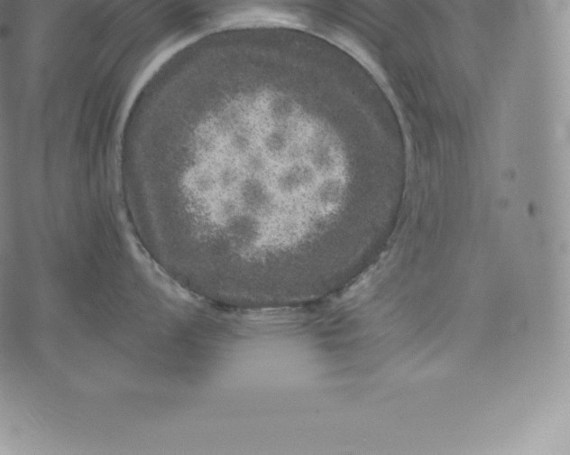 X0000076301008200610161549