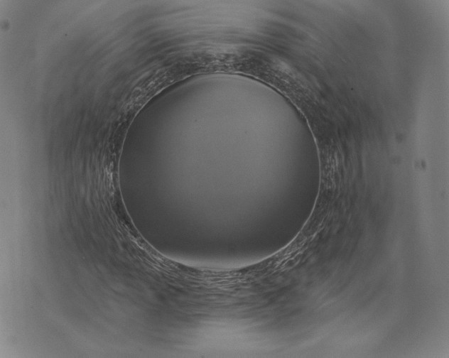 X0000076301013200610161548
