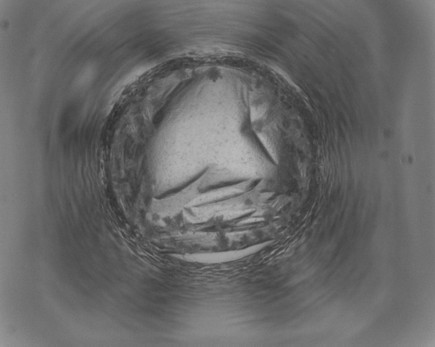 X0000076301016200610161548