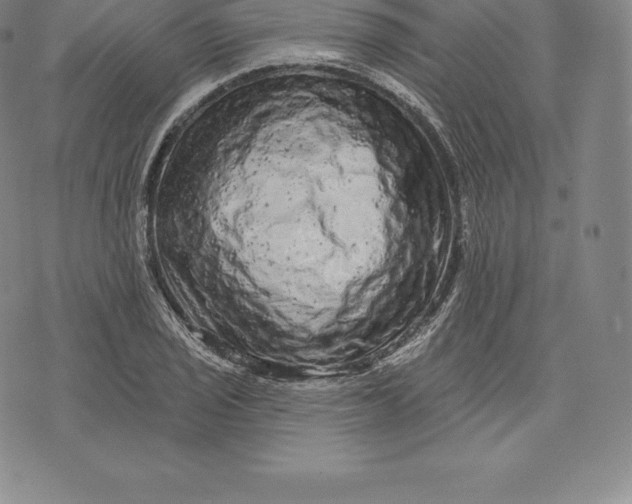 X0000076301029200610161548