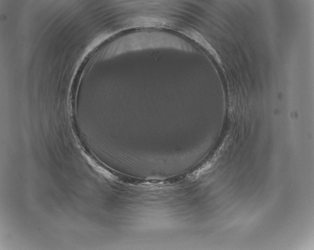 X0000076301037200610161548