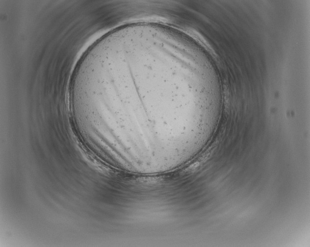 X0000076301044200610161548