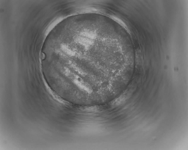 X0000076301047200610161548