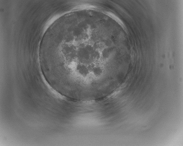 X0000076301055200610161549