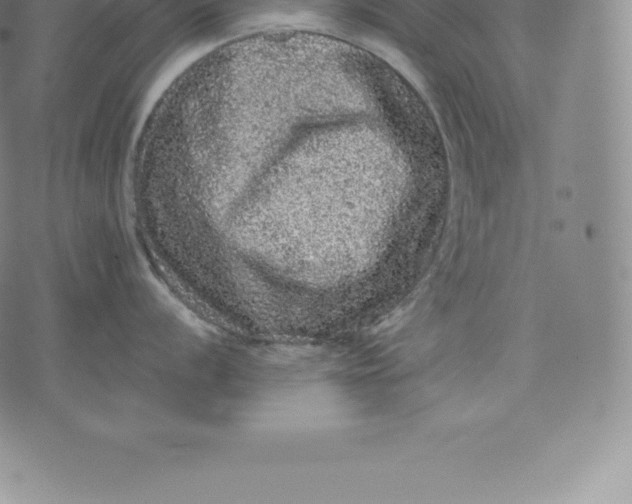 X0000076301056200610161549