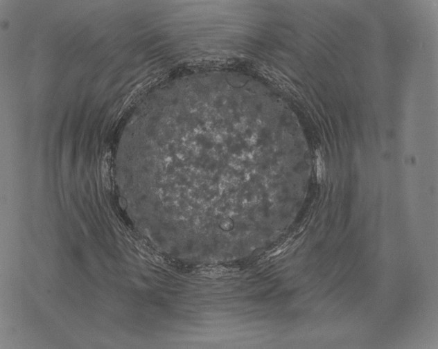 X0000076301059200610161548