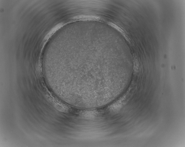 X0000076301074200610161547