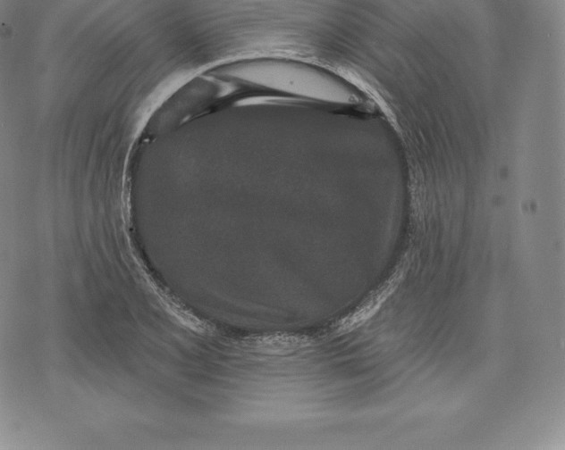 X0000076301077200610161547