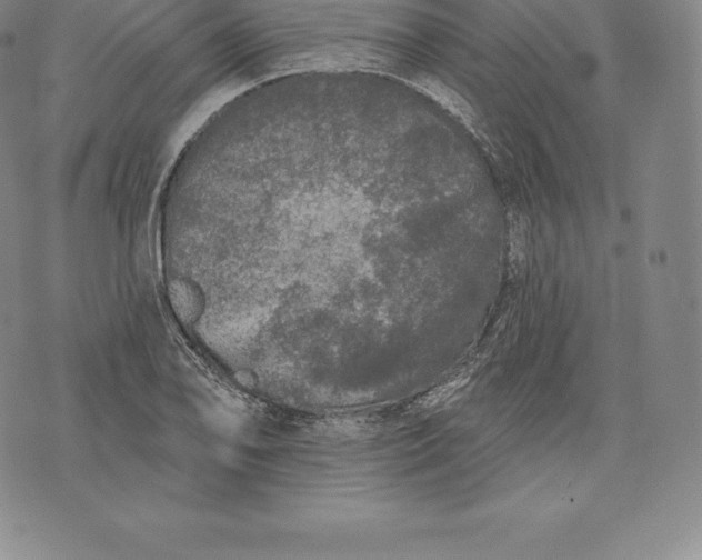 X0000076301078200610161547