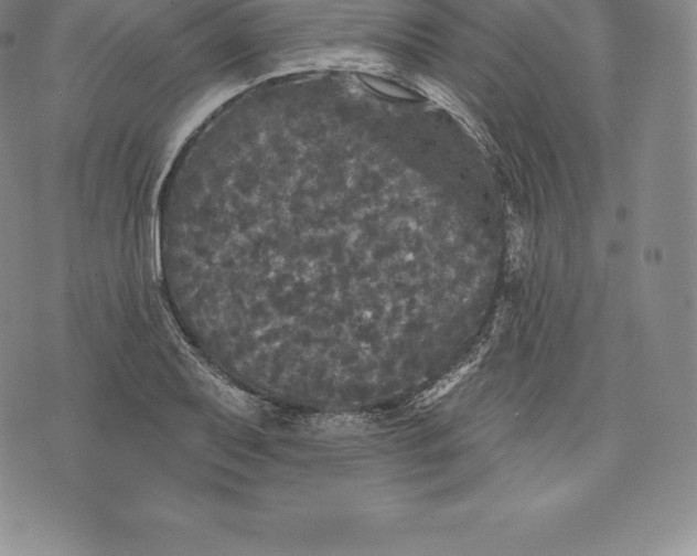 X0000076301079200610161547