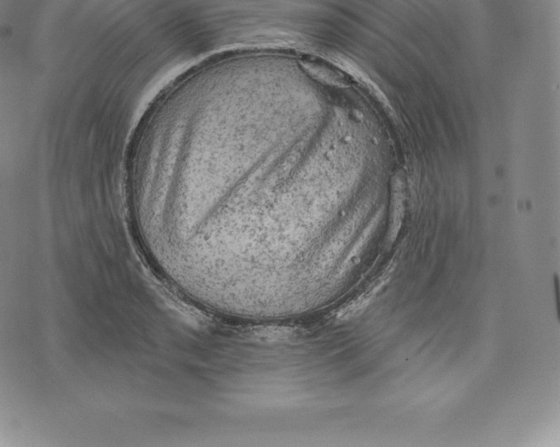 X0000076301085200610161547