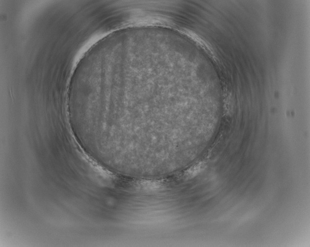 X0000076301086200610161547