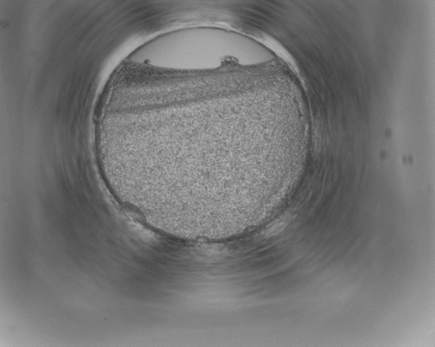 X0000076301096200610161547