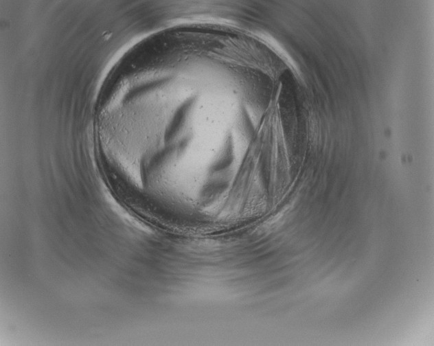 X0000076301100200610161547