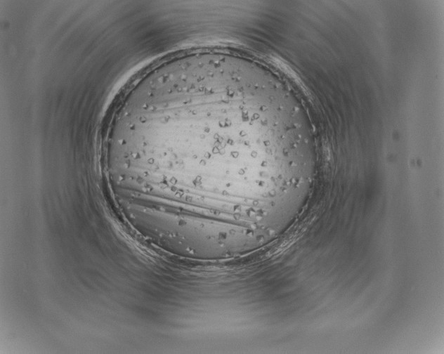 X0000076301124200610161547