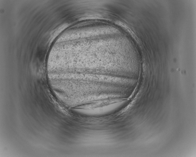 X0000076301129200610161547