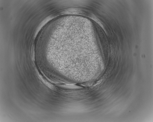 X0000076301131200610161547