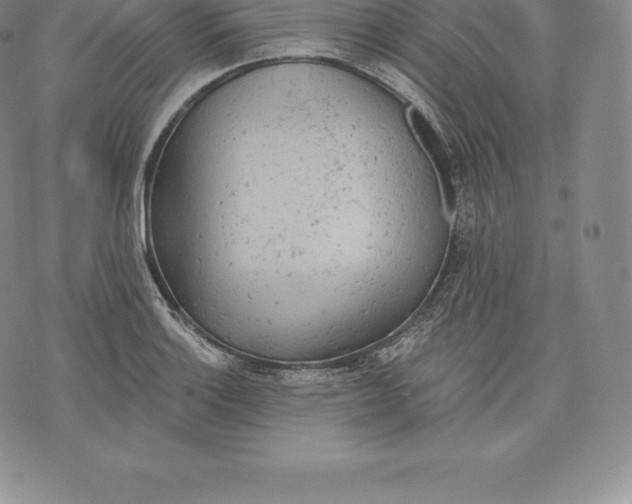 X0000076301132200610161547