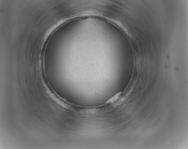 X0000076301134200610161547