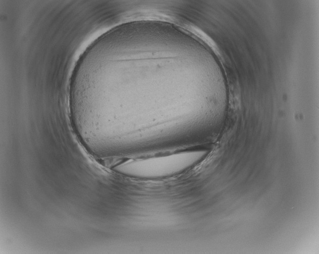 X0000076301144200610161547